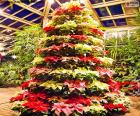 Χριστουγεννιάτικο δέντρο Ποϊνσέτια